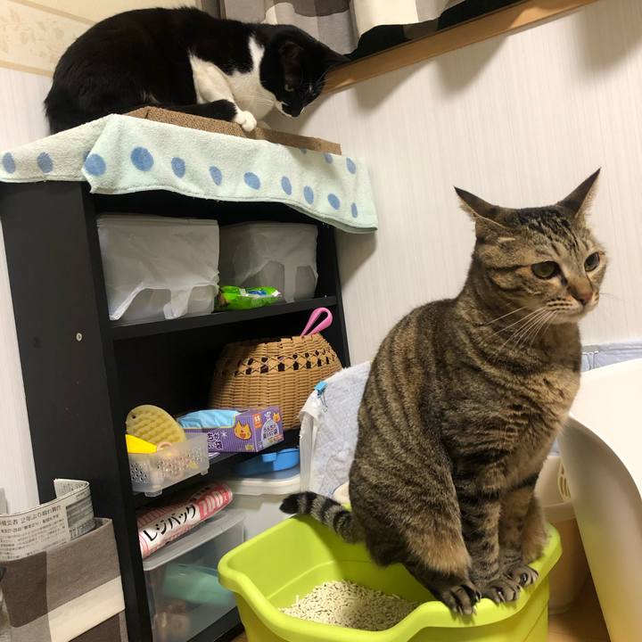 C064512b 67d5 4e46 a664 f516a6e72912 1635175151181