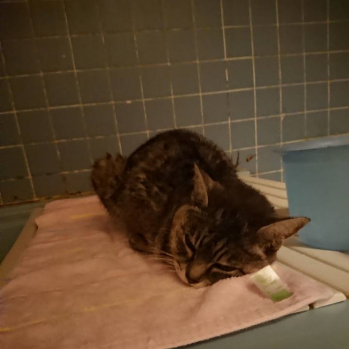 C0645fbd da8f 4282 923f bb48fdf700c8 1581071937740