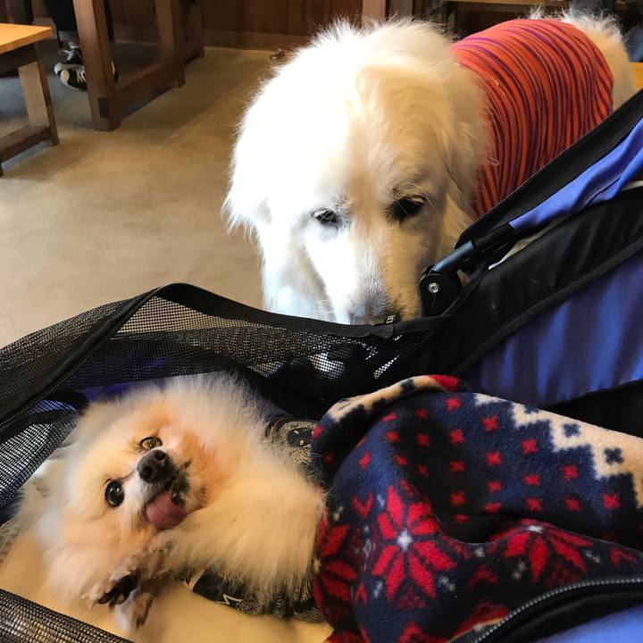 C0646396 8140 4fab 8f38 30f582b3fd03 1525396248383