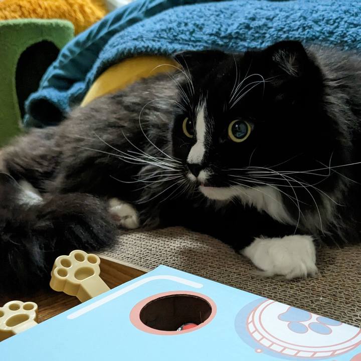 C064a214 ded0 42bb b0ed 06f470a0ce35 1682683405120