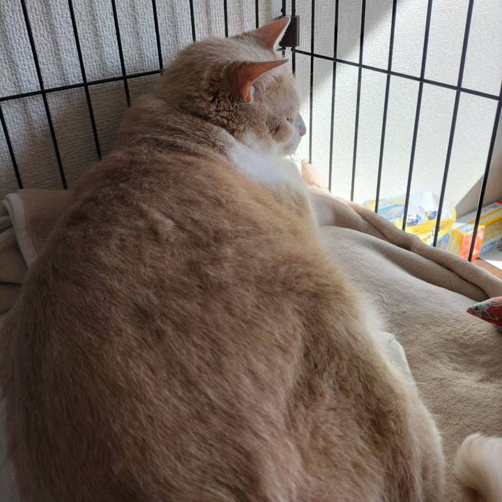 C064b3ef 09b3 4154 b773 81459a3a43d9 1636243479897