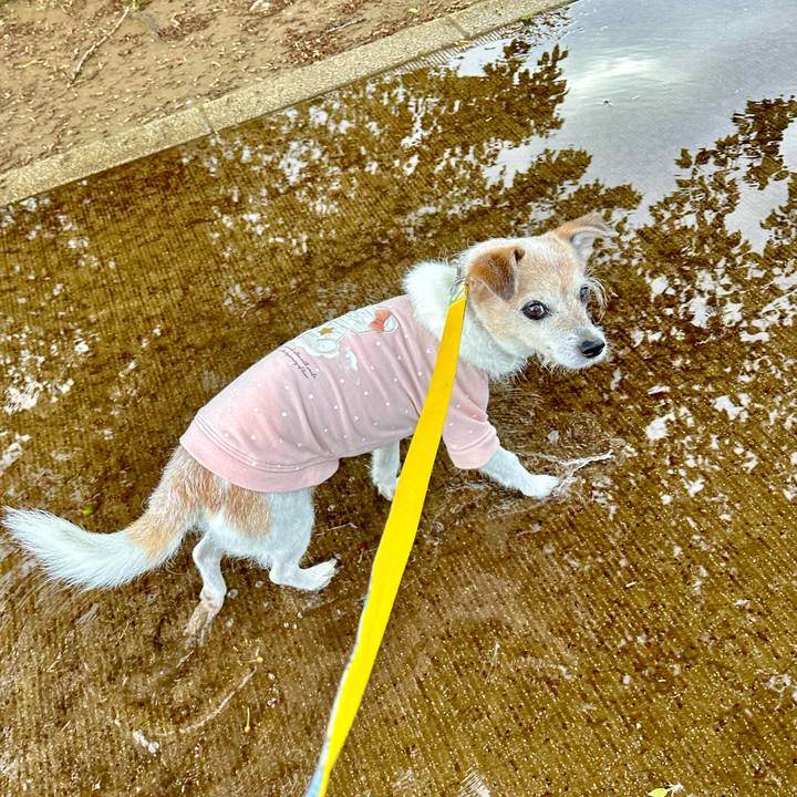 C064b9a3 229e 49f9 b0a4 7173433f5af0 1714605307915