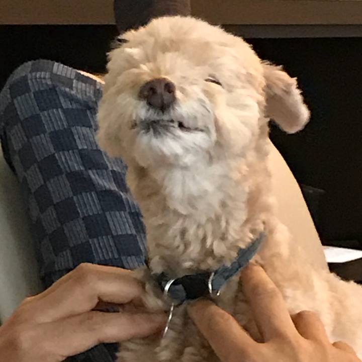 C064f969 4c91 4f34 837f f323664bbe80 1532156036051