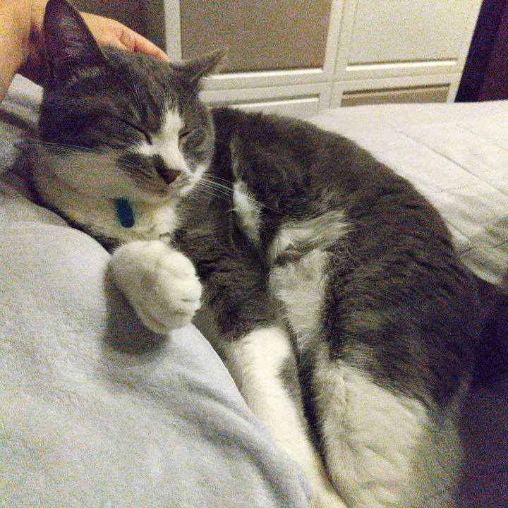 C0659fdd ecf5 492c 8882 870ec15bef90 1650576997407