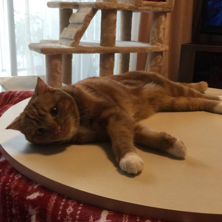 C0660c74 f4d9 422a b75f 7ff231b31ebb 1518235387182