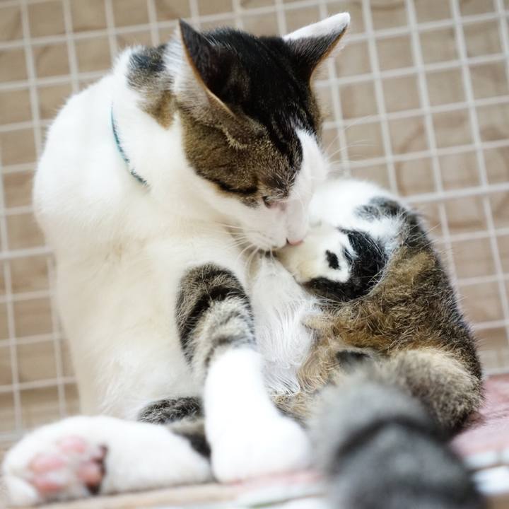 C066391f 2238 436a ae55 bbf413c575f8 1511174504099