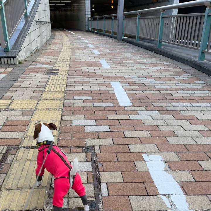 C0665d46 a858 4cb9 923a fec6f24be4bf 1643183923005