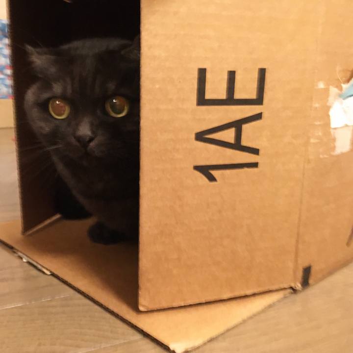 C0665e5a 38ae 4331 a345 3f8a1d5ad44c 1575008007296