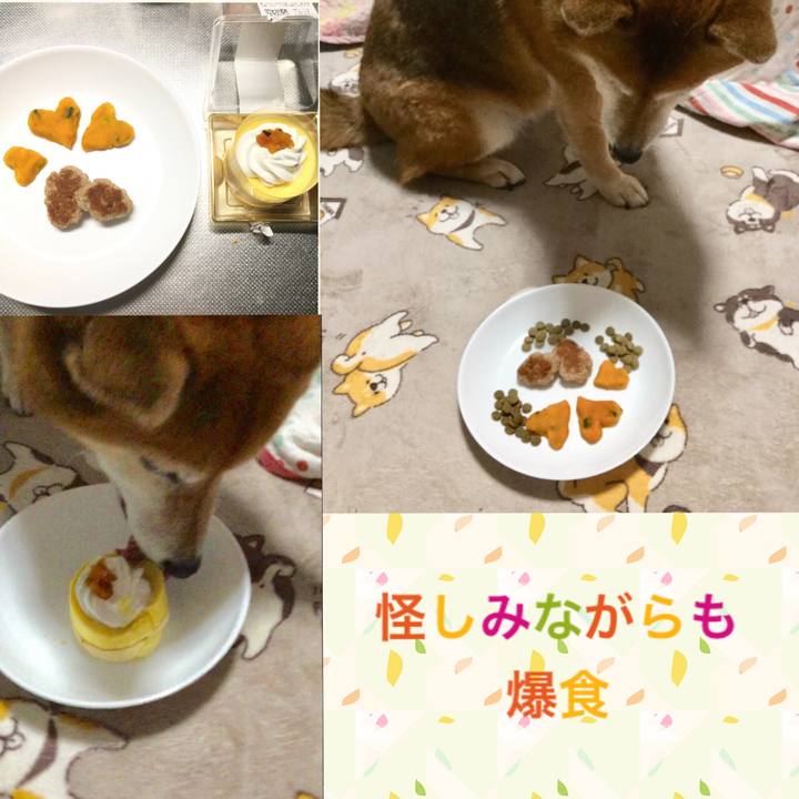 C066baa6 6ebd 490f 91d7 ab0a79547d8d 1603537531401