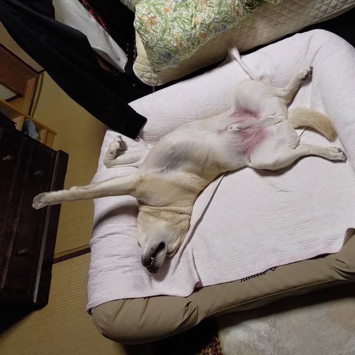 C066c91f 8b44 4d14 86aa 41e2fe7cbcc5 1681863570199