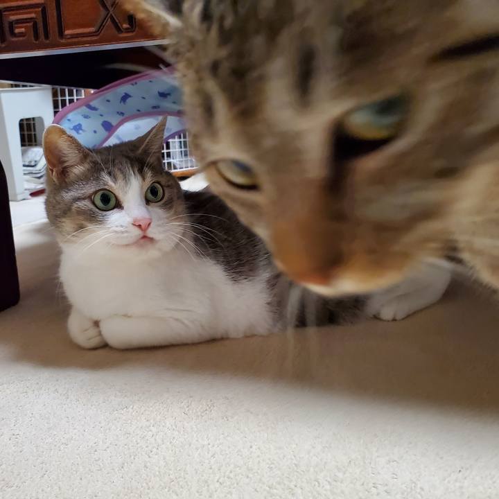 C066f4bc 7d04 40ac a300 4b89da91242e 1694265206818