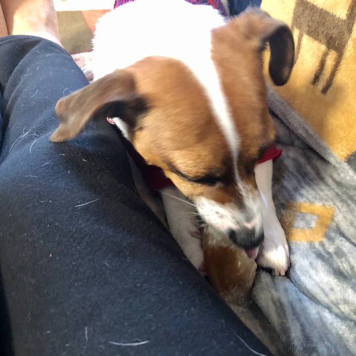 C066fe05 dfb8 4624 b578 75d70eb0997e 1583991307672