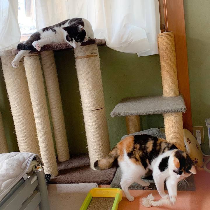 C0670fda a6a6 4543 b5e0 0d8a96e522db 1558057544350