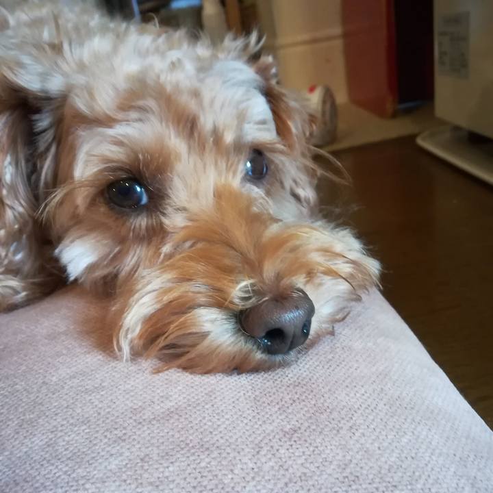 C0672398 4a52 4690 9f34 74c40f6bf1a3 1571444840938