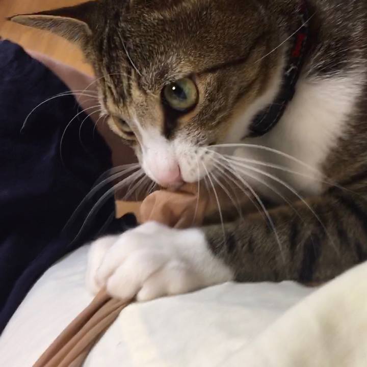 C067312d f30f 474f b8e7 07f3b4e4670a 1679970477128