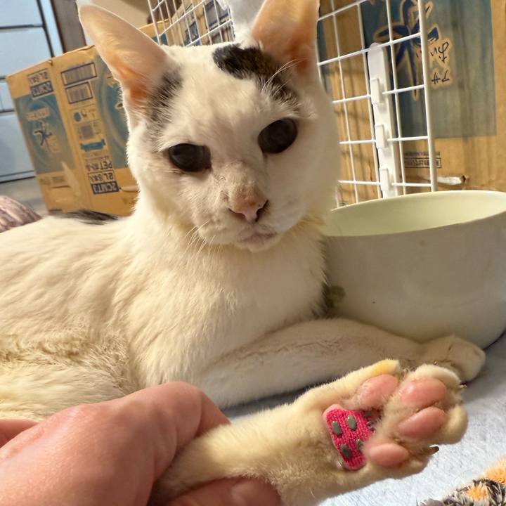 C0674c97 14e9 41c5 a4df 861582f7d96d 1769401753908