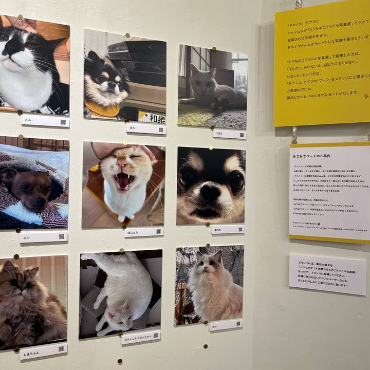 C0677350 0780 4ca5 8685 5e62617cf46e 1766143222096