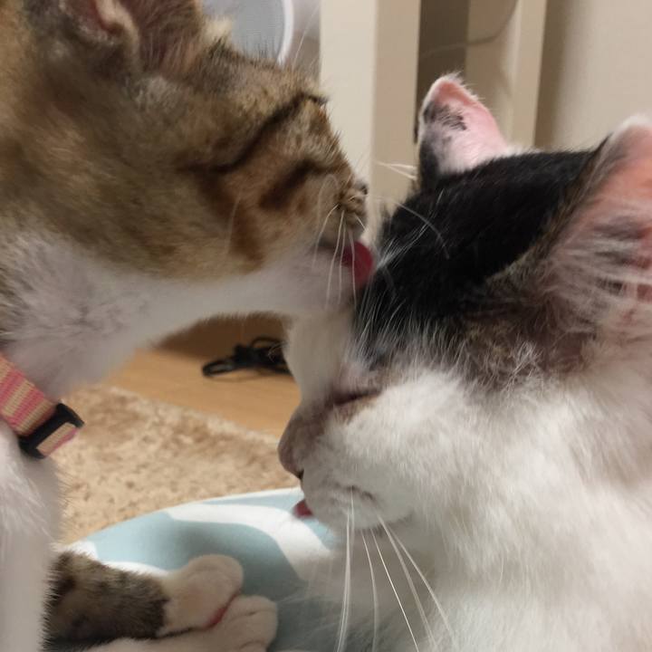 C0677f56 e0e4 4fc9 b846 e68e9ef8dc35 1536307243050