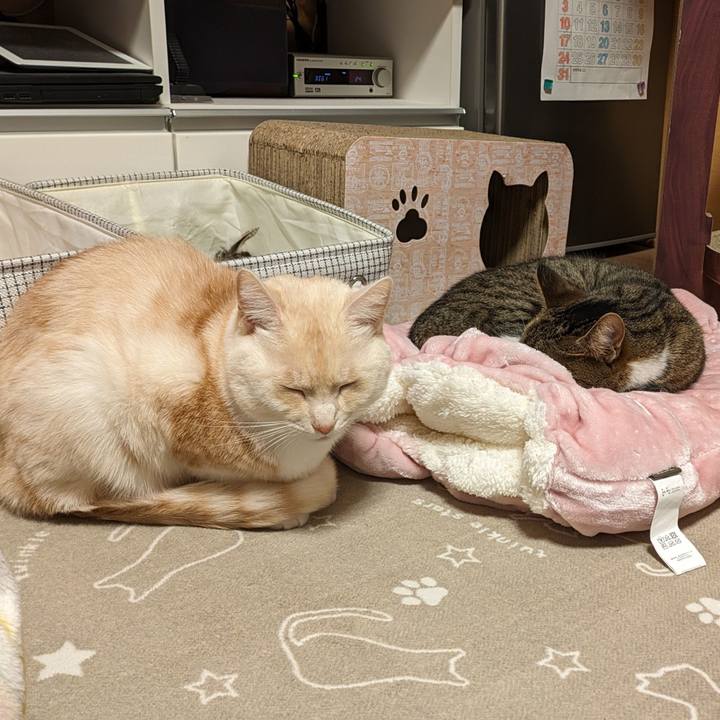 C0679846 8118 4f31 aec1 795093fdc762 1701778171942