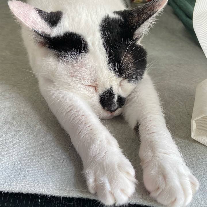 C067a022 3cad 4696 9401 ad415d2d6c88 1656124997066