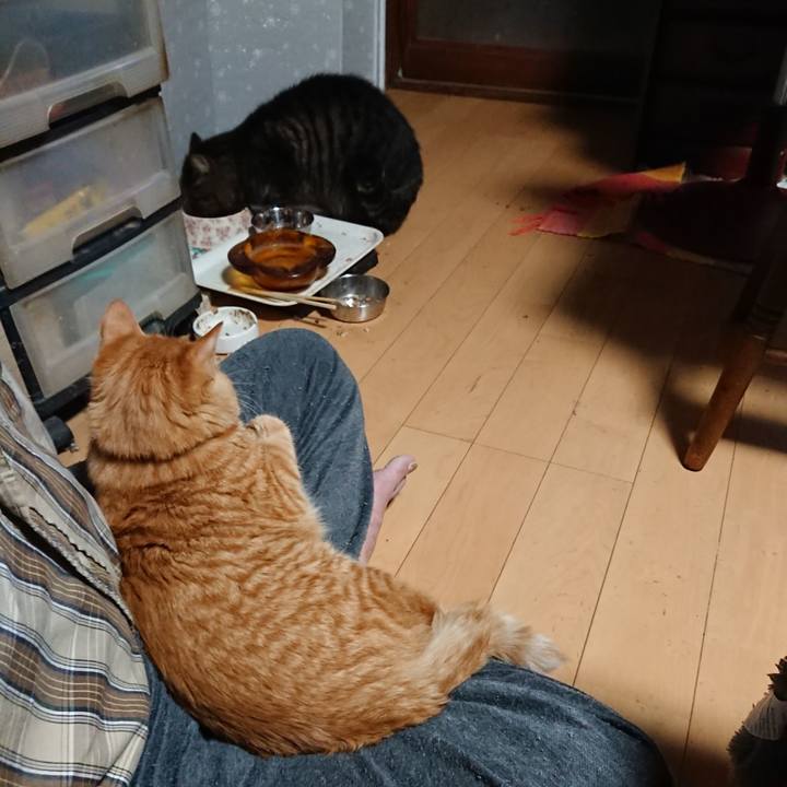 C067b5fd ff5a 4d2b 9e72 07b0daa59655 1637962494644