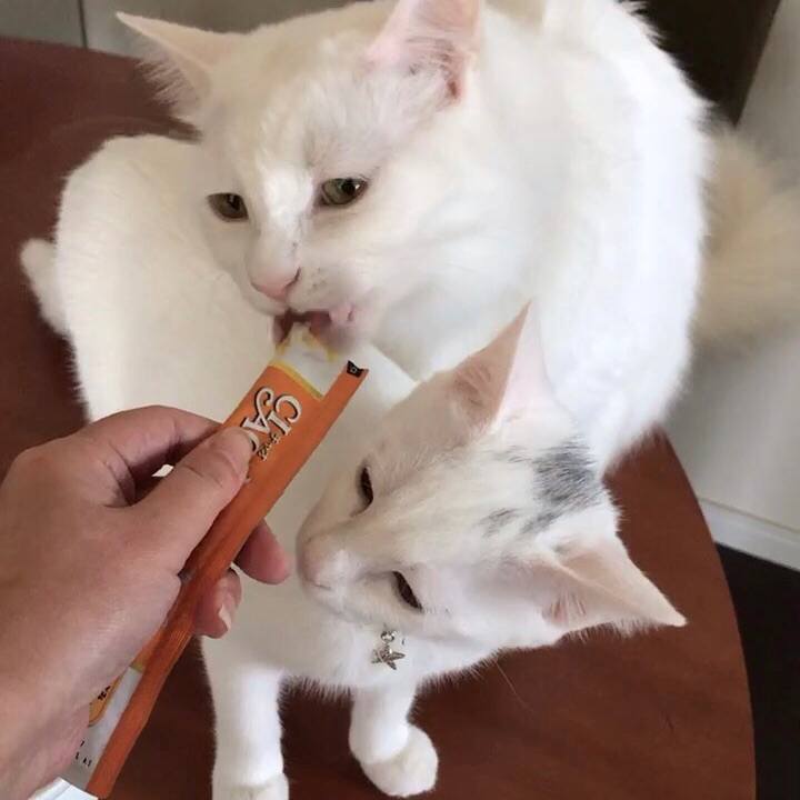 C067bf6a bb24 40f3 b175 f7643c96bcf8 1571802081646