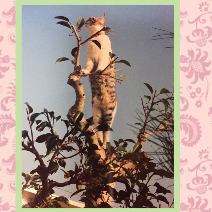 C067c6c4 73a3 4e9f a45a 0babc40eea36 1590099631928