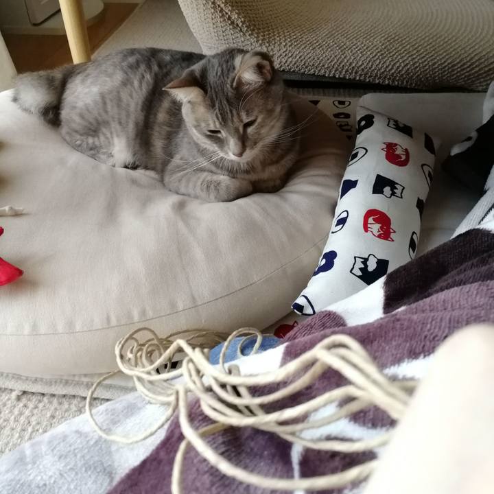 C067d9e2 d404 40be 96da e825f8b6016d 1524353871834