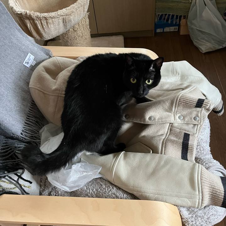 C067f60e 6545 45f4 82de 97840001876b 1680477823737