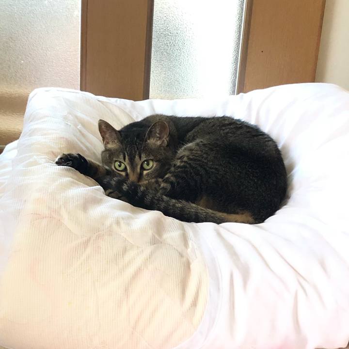 C0682ed5 ce17 4f57 91ce bedef85af7f6 1589852321565