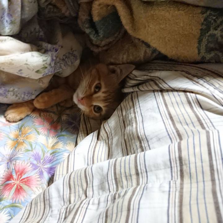 C068387d 90e7 43a5 97a5 4e3e9259206c 1631564663775