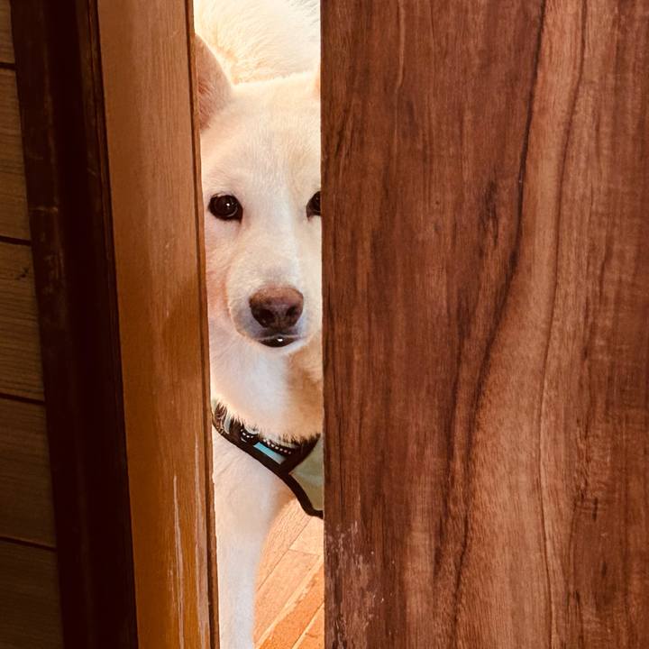 C0684b9a ef00 4a37 a1a9 9cbb1f3b7dcd 1744237117359