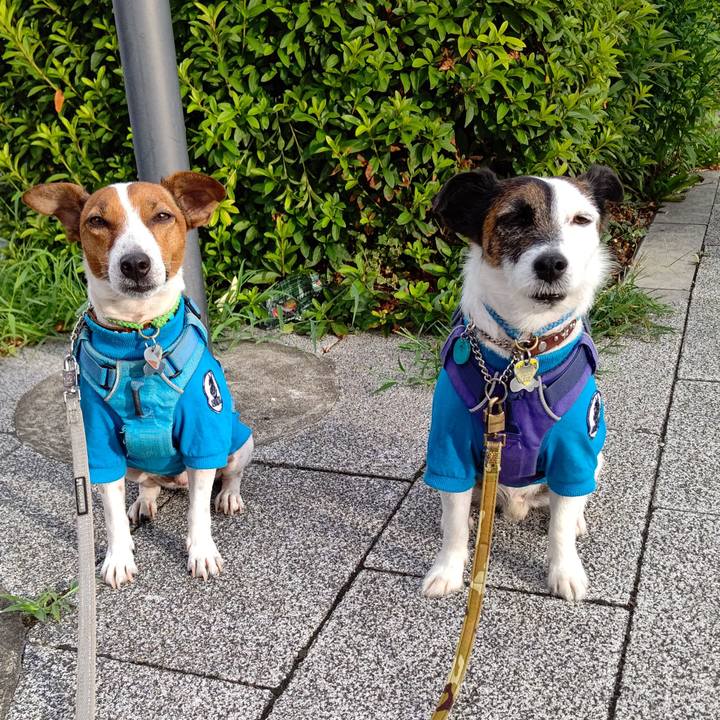 C0686c51 29b0 4c37 8e63 7bce069a4f6b 1657143054940