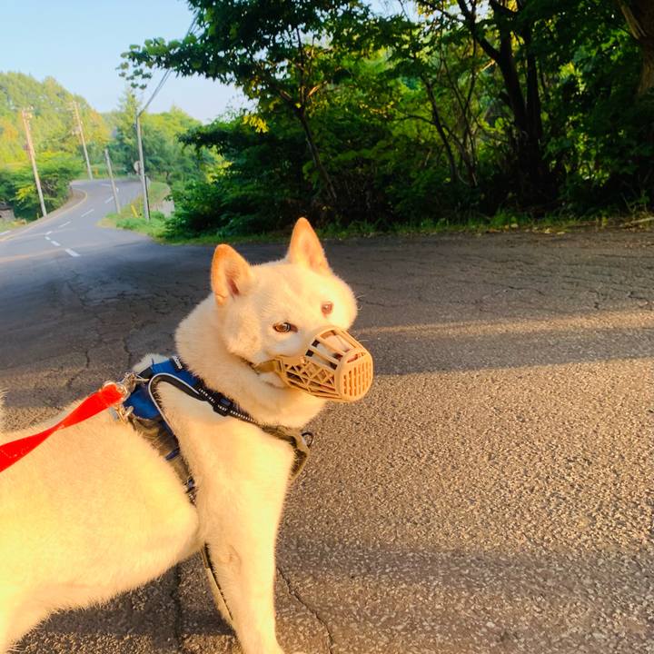 C06893dc cb61 4763 900e 566e6de2b01e 1627159501018