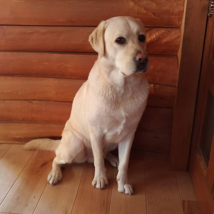 C068bebf b6d1 4e2a bc2e 714ed6cb4e65 1515910259718