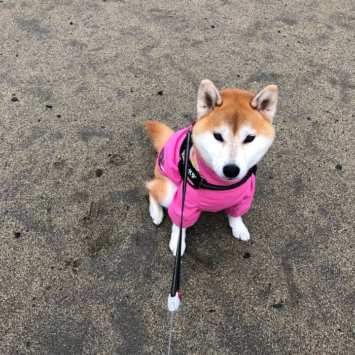 C068c8f3 1b35 482c affa 5d5627e7e6ab 1565951419512