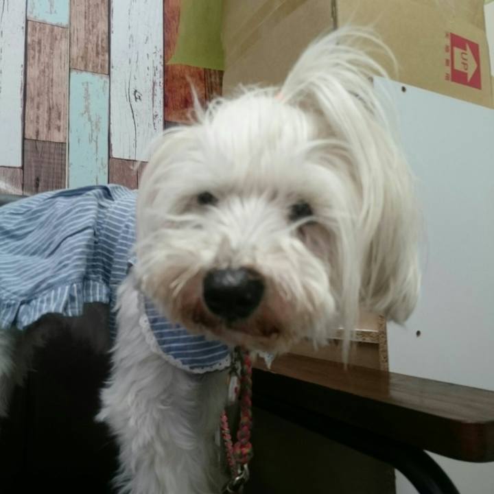 C068dddf 8cfb 4320 93f6 c0d44272ecae 1560601865296