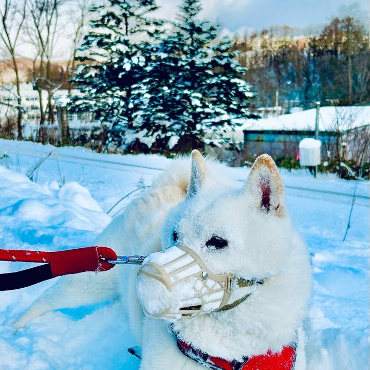 C068df86 7e73 4925 83ba 02215190c666 1703378359340