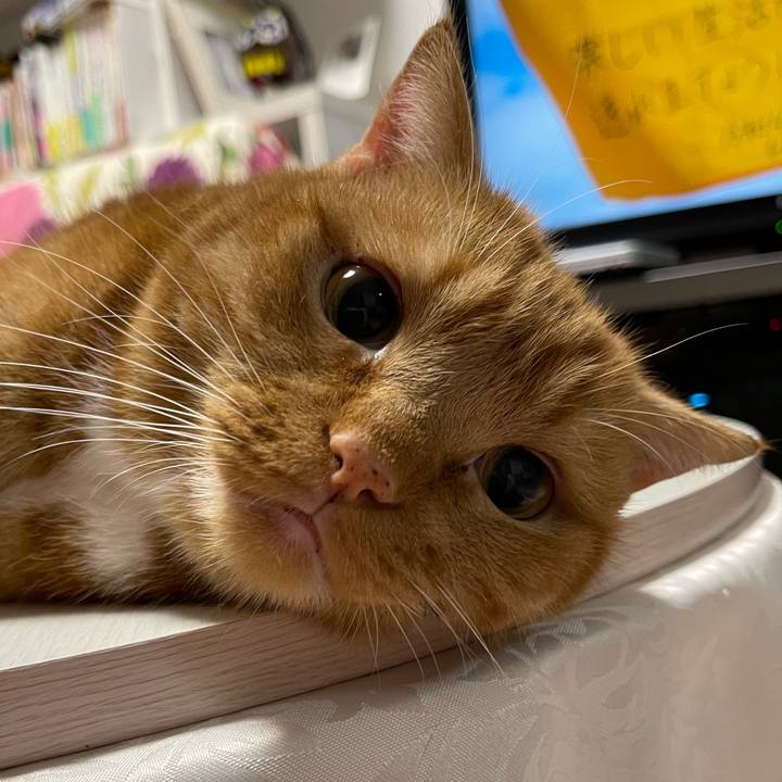 C068f185 a0fe 430b a6a7 d671fd3f9a9c 1658499364839