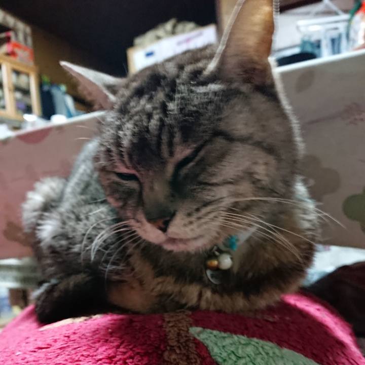 C0692b5a 8ea6 4b1d b89f ec3567fe0d4a 1553979493553