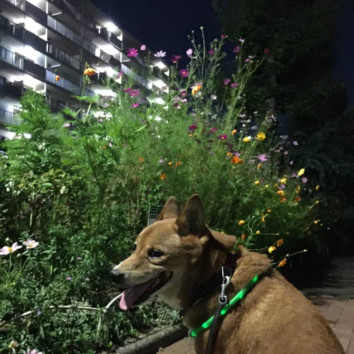 C0692ef2 aaba 408e 95eb 842ea2d23b83 1636629910532