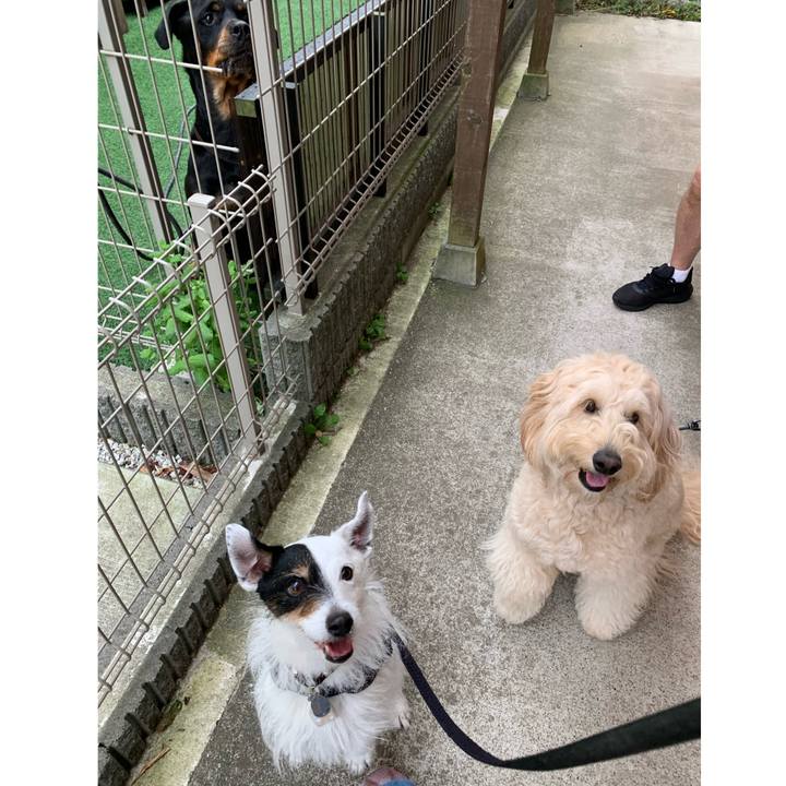 C0697e40 9342 41fc a659 825949598a13 1716104653208