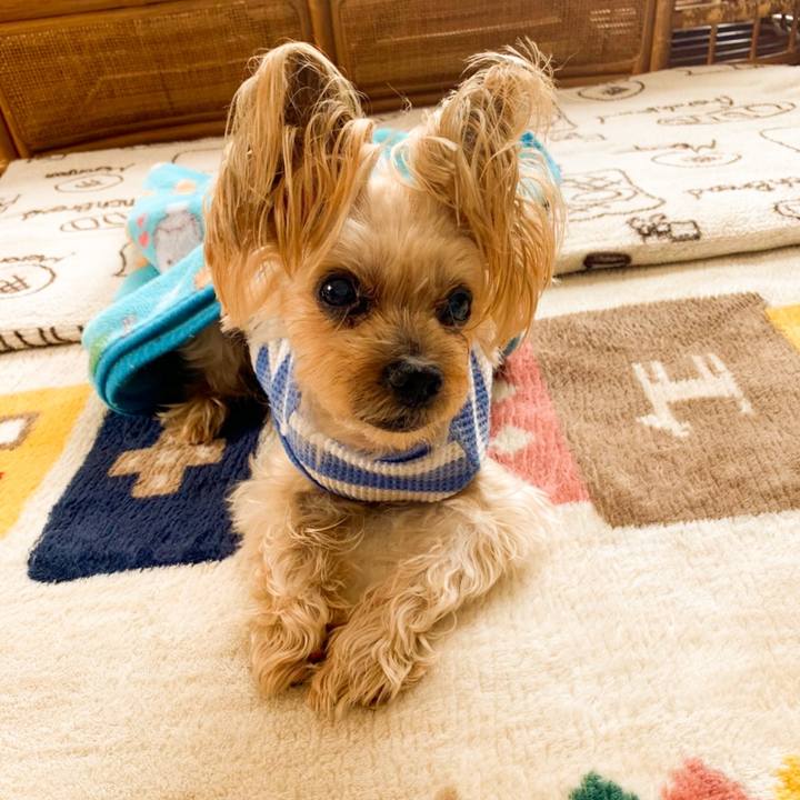 C0698134 d5b5 406b b0c6 4d4745a21ede 1648116807565