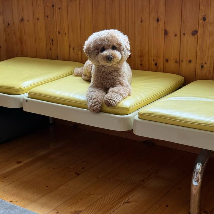 C069a220 6292 4ccc 8458 66a85dc921e1 1776377254658