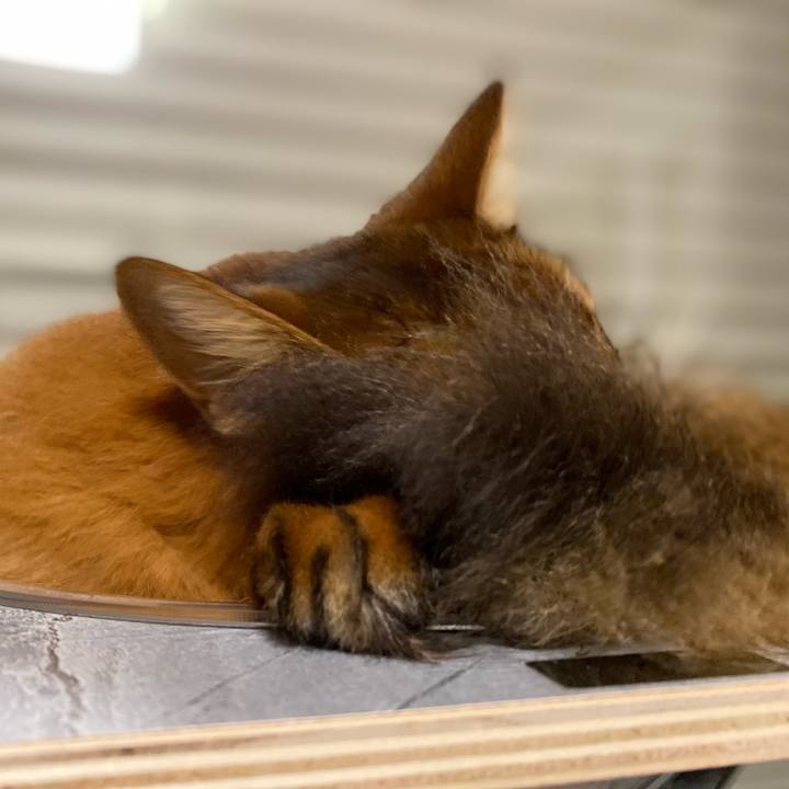 C069f18a 796f 4bda b472 422cf0beef65 1737814199288