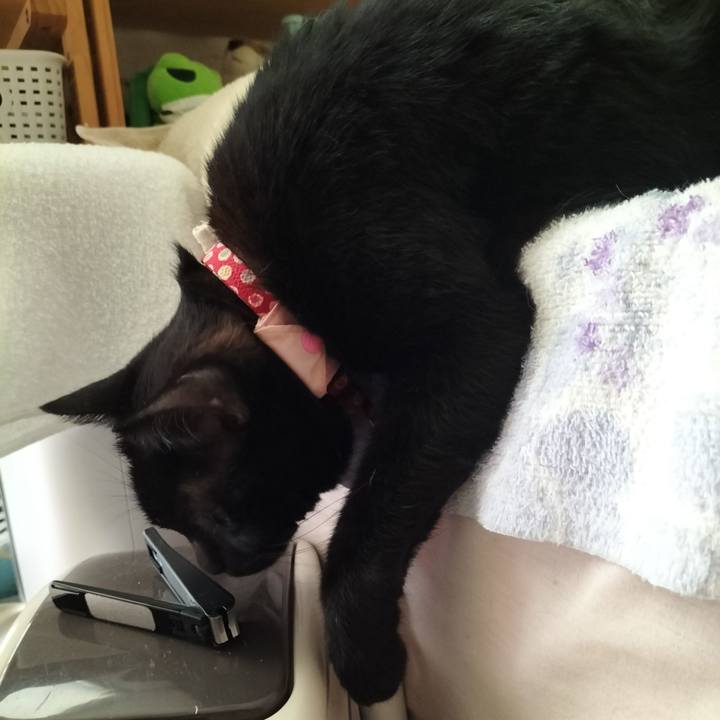 C06a0bf7 1619 4e48 8f0e f6c25e8efa73 1633493066704