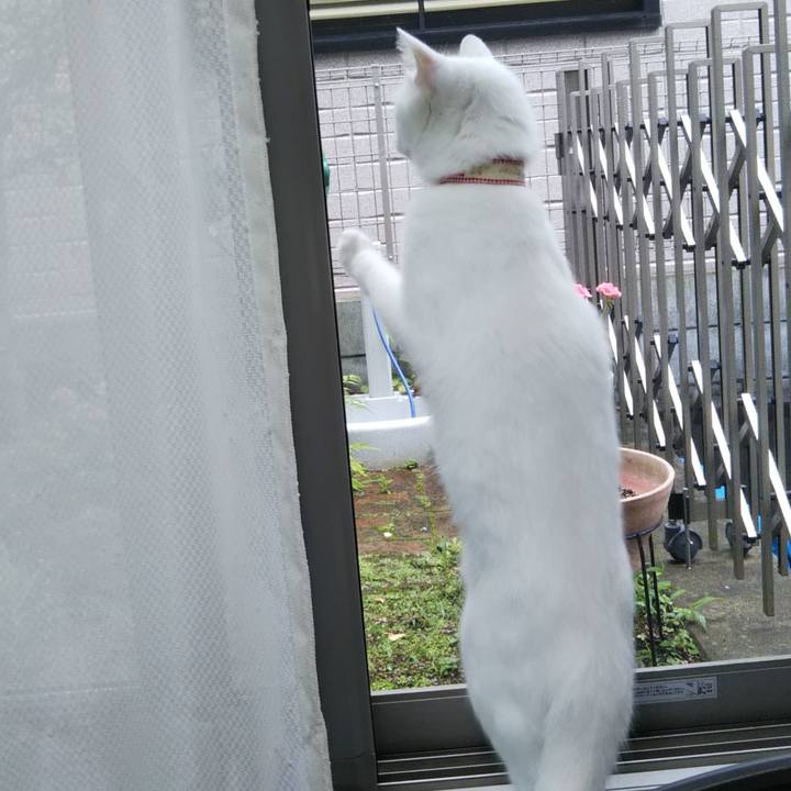 C06a203b 4c0d 463b 8d2f 0a9899559b1b 1625700459424