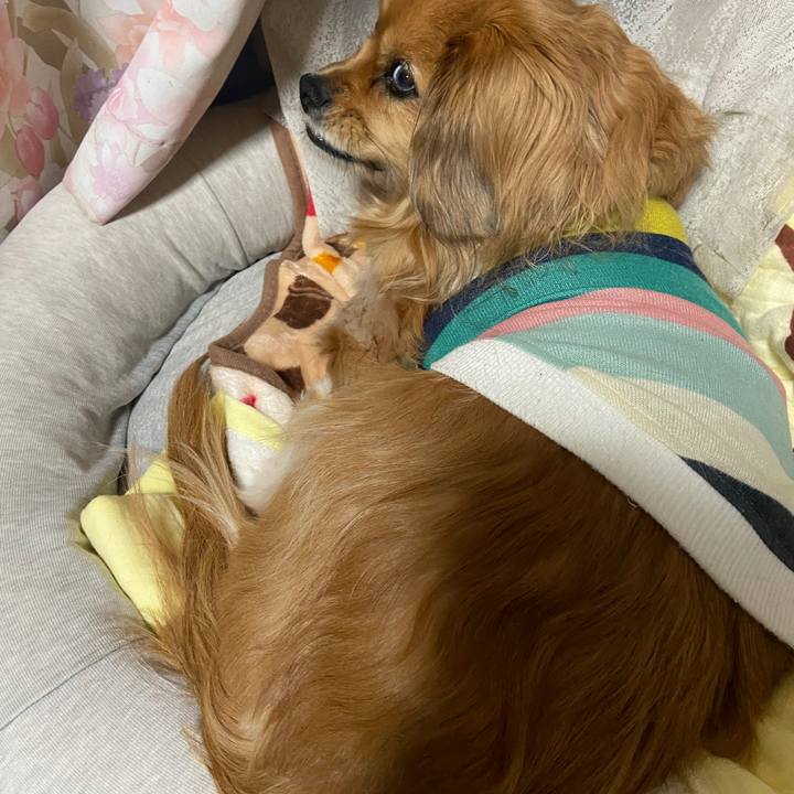 C06a37f9 3236 4060 8602 c4ef09b8a76a 1675724339220