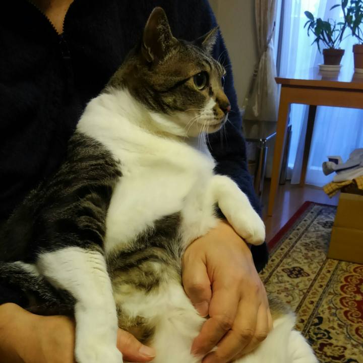 C06a3b59 7591 42f9 8f3f f0f36e58a65b 1515198848656