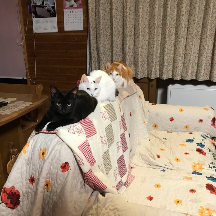 C06a469e 9694 4d7a 8f51 f08fb6b6b010 1569234038495